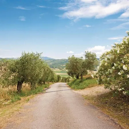 Il Molino - Casale Il Picchio Hébergement de vacances Magione
